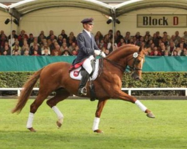 Deckhengst Londontime (Hannoveraner, 2002, von Londonderry)
