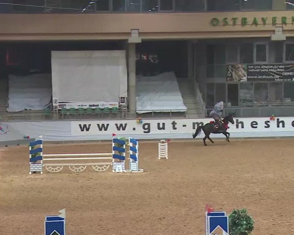 Reitturnier Kreuth 2022