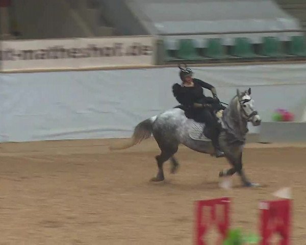 Reitturnier Kreuth 2022