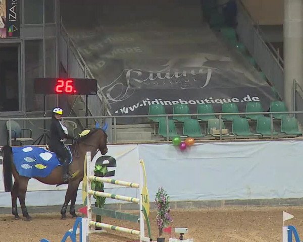Reitturnier Kreuth 2022