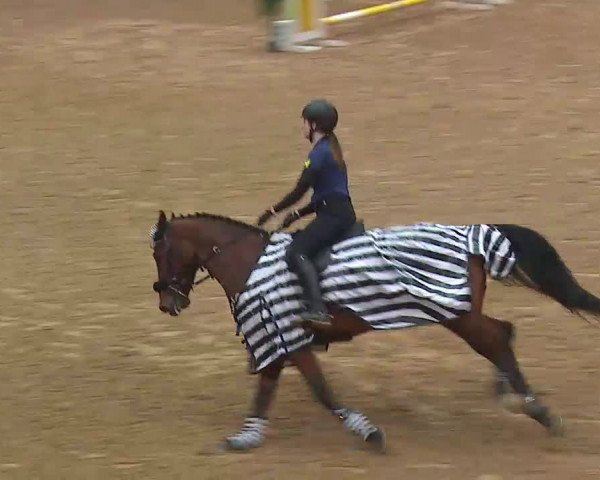 Reitturnier Kreuth 2022