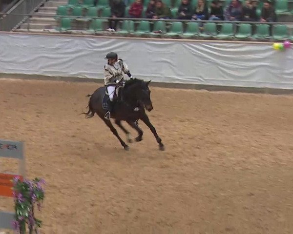 Reitturnier Kreuth 2022