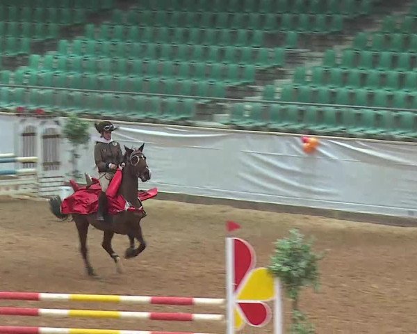 Reitturnier Kreuth 2022