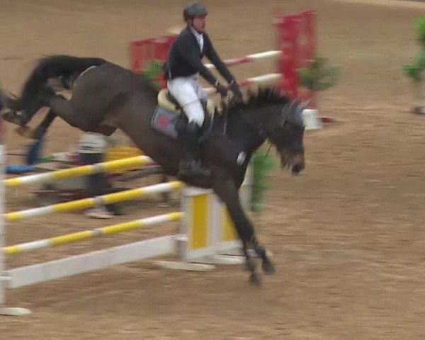 Reitturnier Kreuth 2022