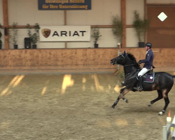 Reitturnier Gehrde - Klein Drehle 2022