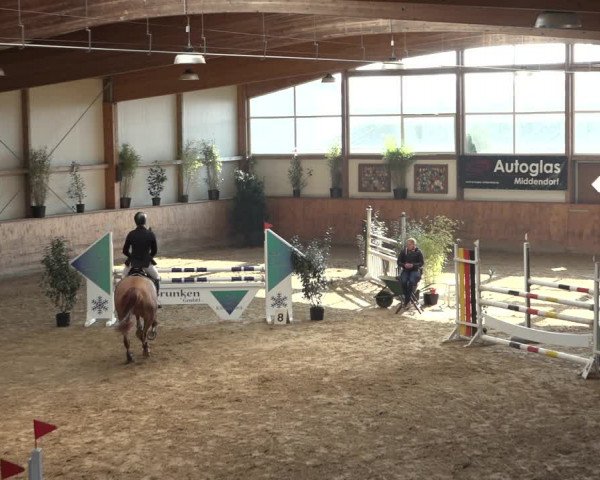 Reitturnier Gehrde - Klein Drehle 2022