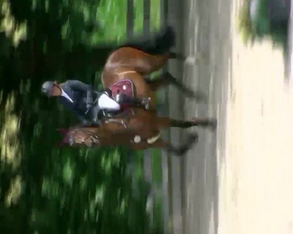 Video von Cessedy Cayenne