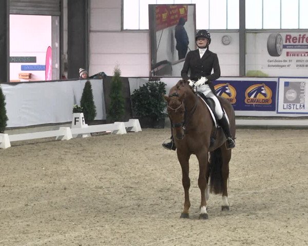 Reitturnier Karlsfeld 2022