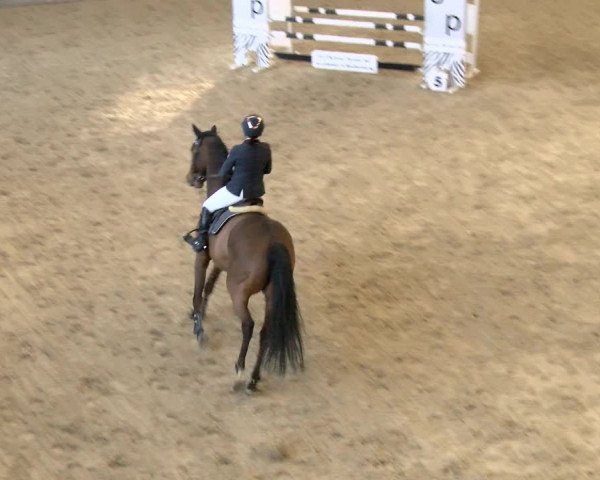 Reitturnier Schaffhausen 2022