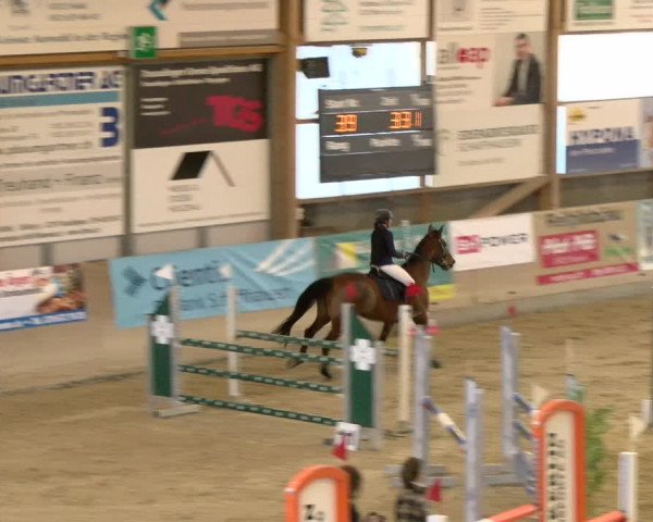 Reitturnier Schaffhausen 2022