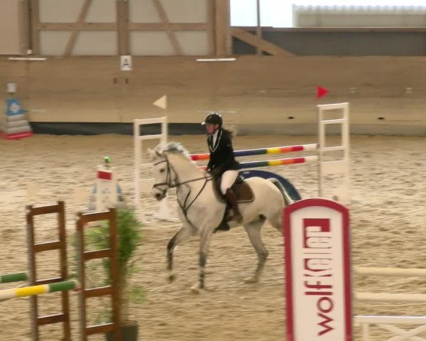 Reitturnier Schaffhausen 2022