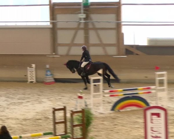 Reitturnier Schaffhausen 2022