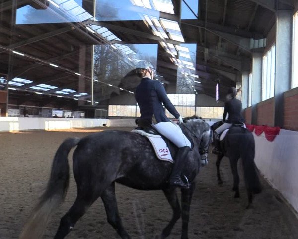 Reitturnier Greven 2022