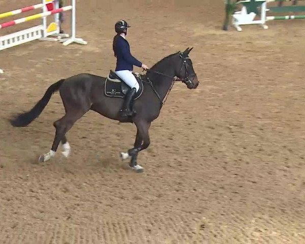 Reitturnier Kreuth 2022
