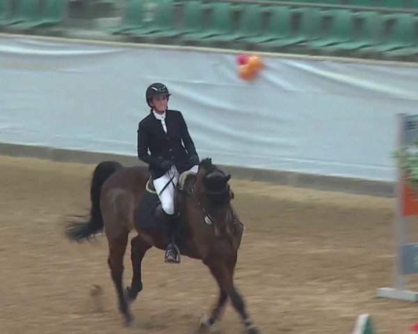 Reitturnier Kreuth 2022