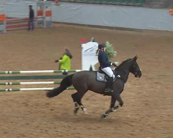 Reitturnier Kreuth 2022