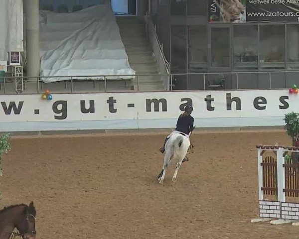 Reitturnier Kreuth 2022