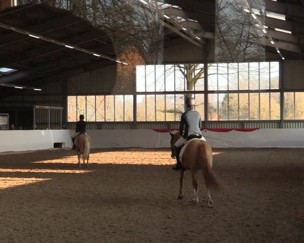 Reitturnier Greven 2022