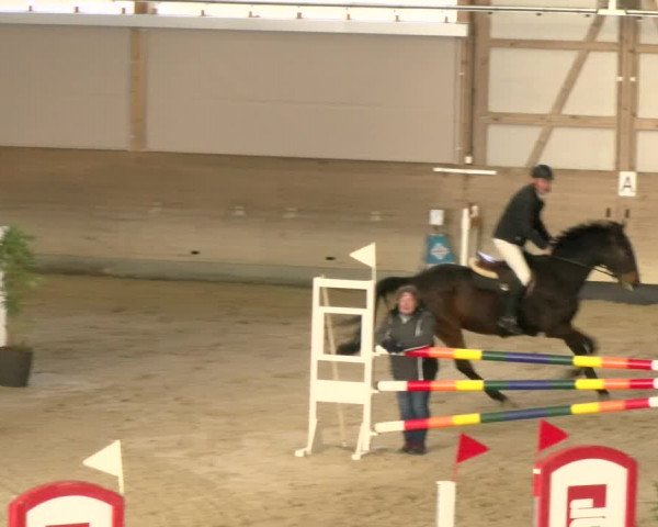 Reitturnier Schaffhausen 2022