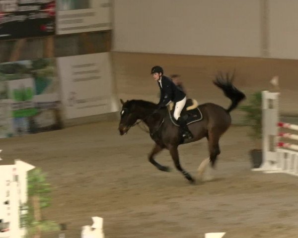 Reitturnier Schaffhausen 2022