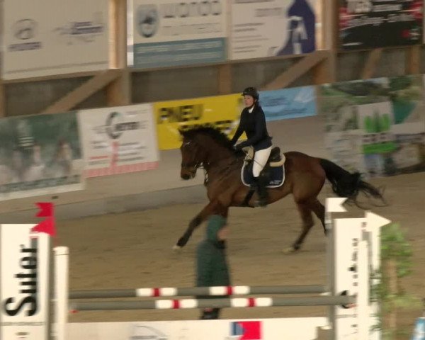 Reitturnier Schaffhausen 2022