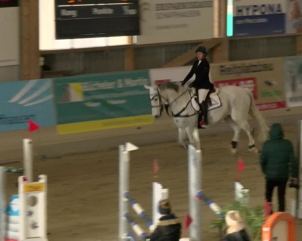 Reitturnier Schaffhausen 2022