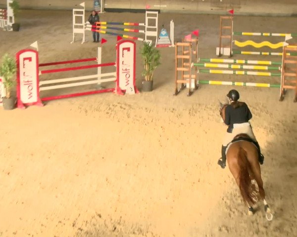 Reitturnier Schaffhausen 2022