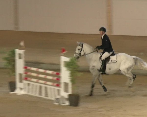 Reitturnier Schaffhausen 2022