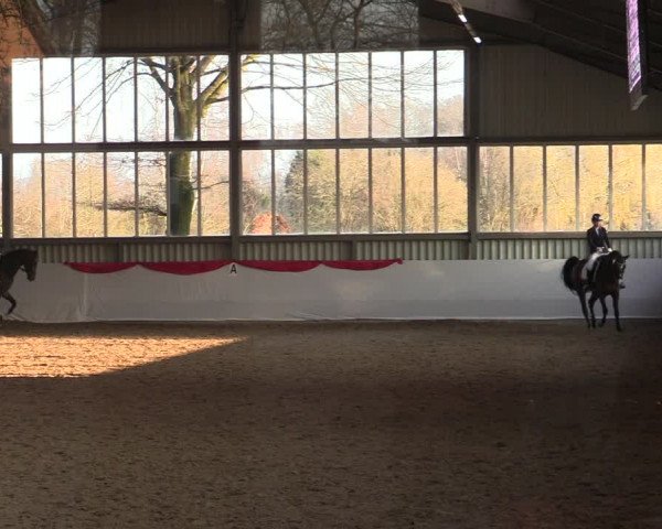 Reitturnier Greven 2022