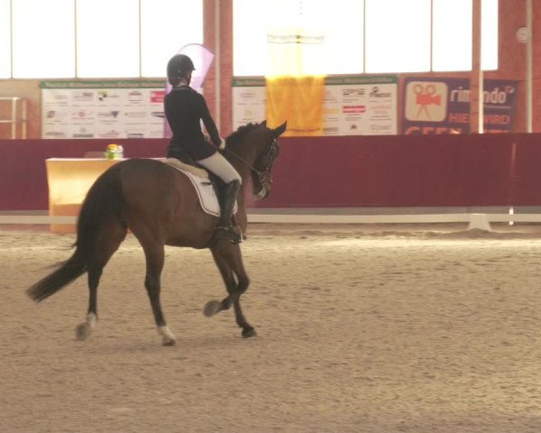 Reitturnier Balingen 2022