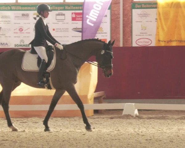 Reitturnier Balingen 2022
