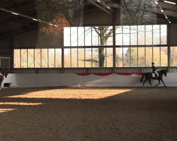 Reitturnier Greven 2022