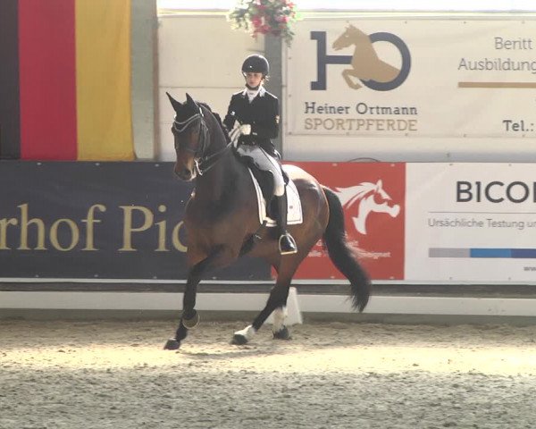 Reitturnier Karlsfeld 2022