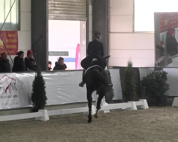 Reitturnier Karlsfeld 2022