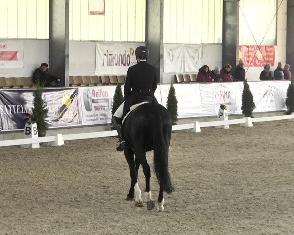 Reitturnier Karlsfeld 2022
