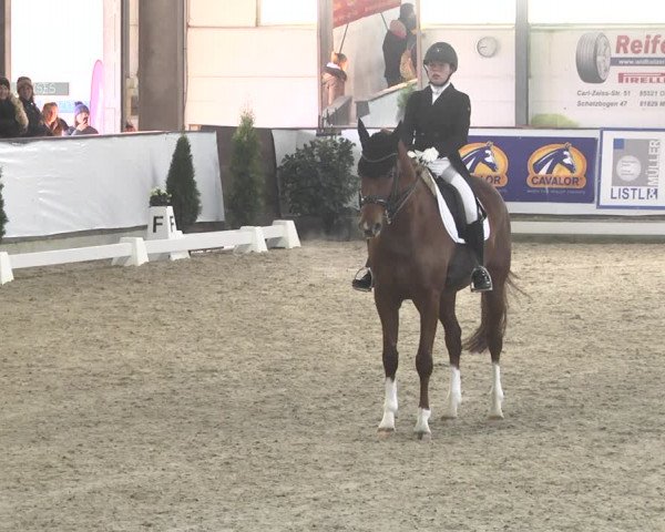 Reitturnier Karlsfeld 2022