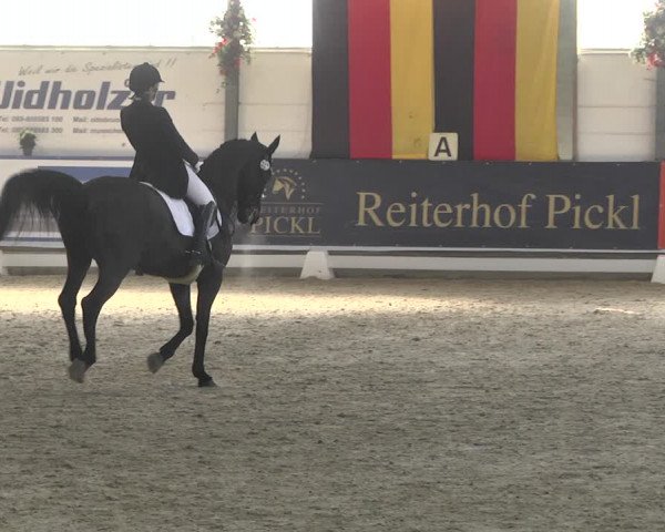 Reitturnier Karlsfeld 2022