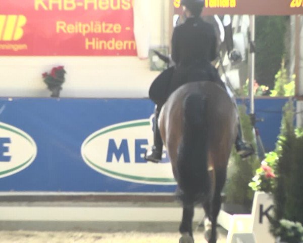 Reitturnier Karlsfeld 2022