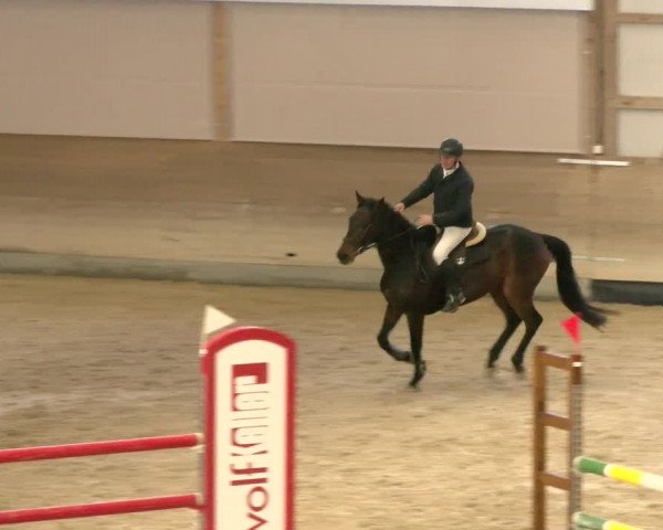 Reitturnier Schaffhausen 2022