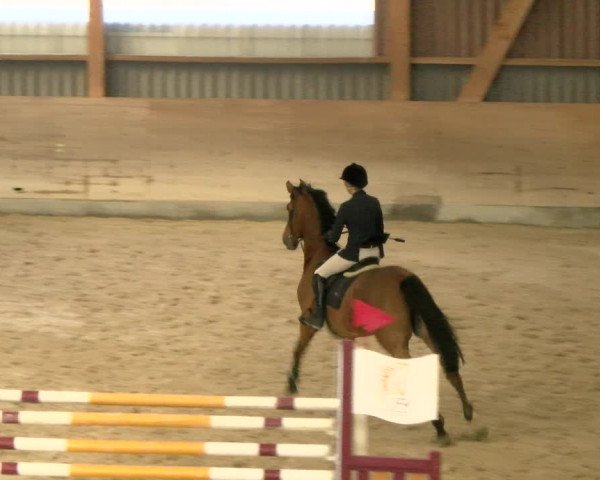 Reitturnier Schaffhausen 2022