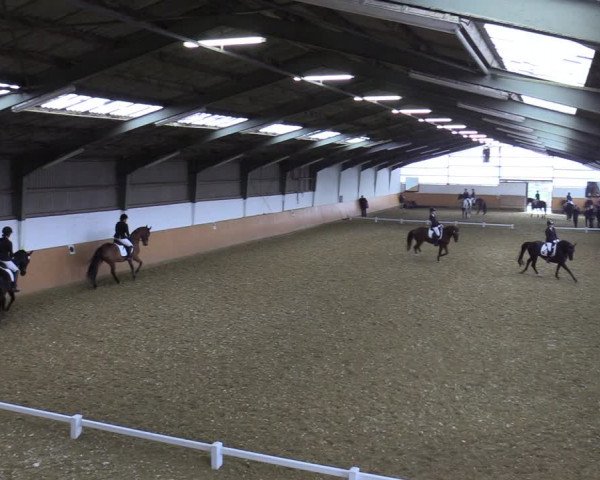 Reitturnier Datteln 2022
