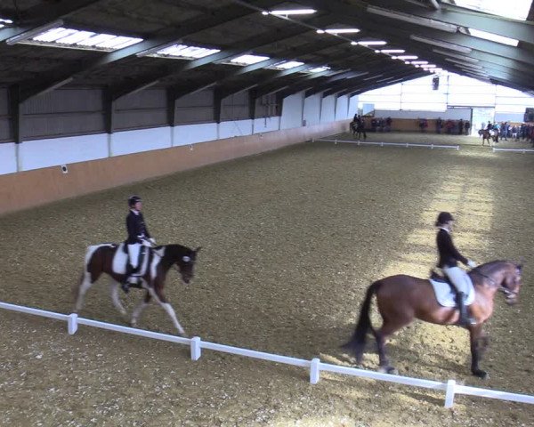Reitturnier Datteln 2022