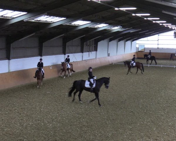 Reitturnier Datteln 2022