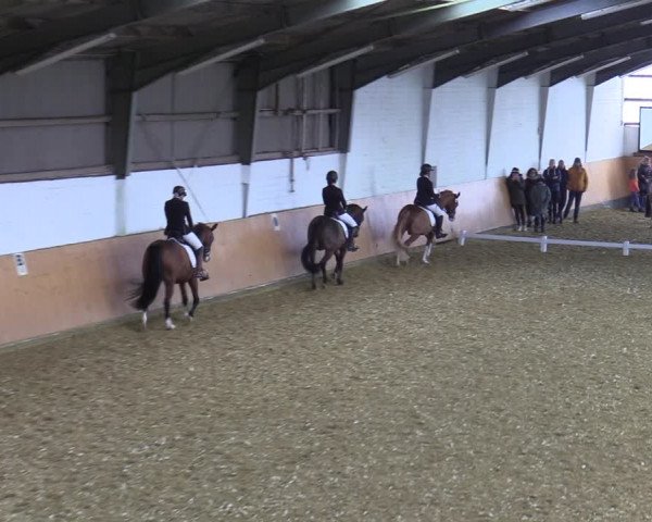 Reitturnier Datteln 2022