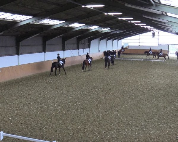 Reitturnier Datteln 2022