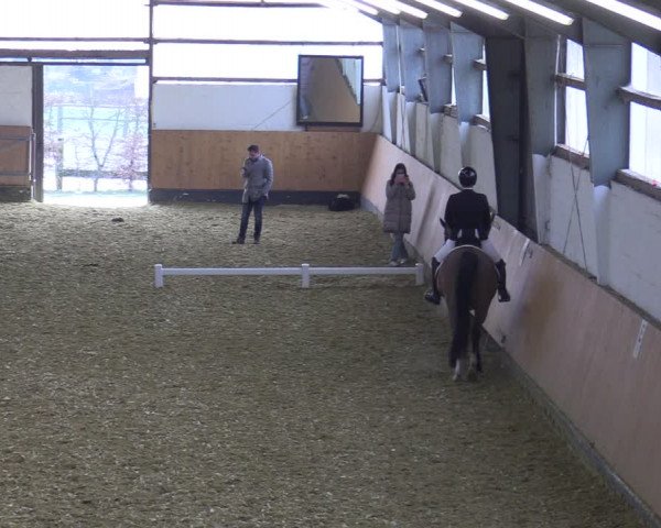 Reitturnier Datteln 2022