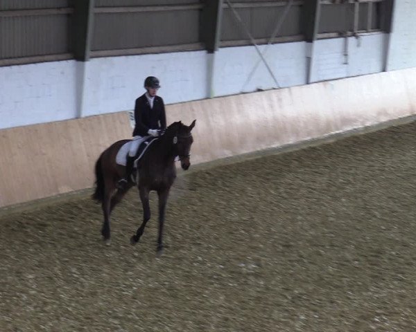 Reitturnier Datteln 2022