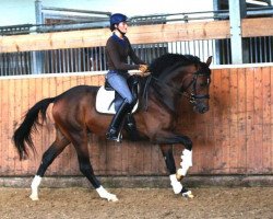 jumper Q Eins Th (Bavarian, 2010, from Quaterback)
