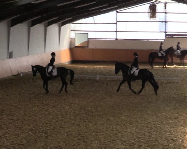 Reitturnier Datteln 2022