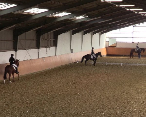 Reitturnier Datteln 2022